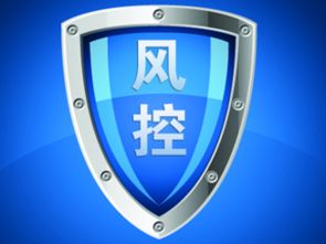引領(lǐng)互聯(lián)網(wǎng)金融服務(wù)